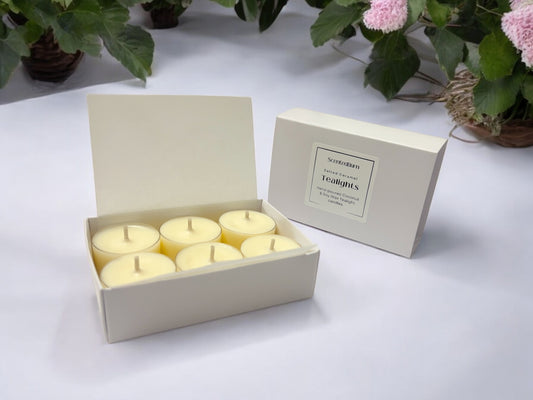 Mineral Wax Scented Tealights | Natural Wax Candles | Pack of 12 - Scented_Burn