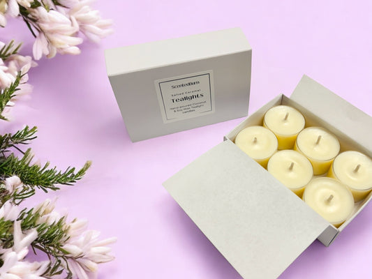 Coconut & Rapeseed Scented Tealights | Natural Wax Candles | Pack of 6 - Scented_Burn