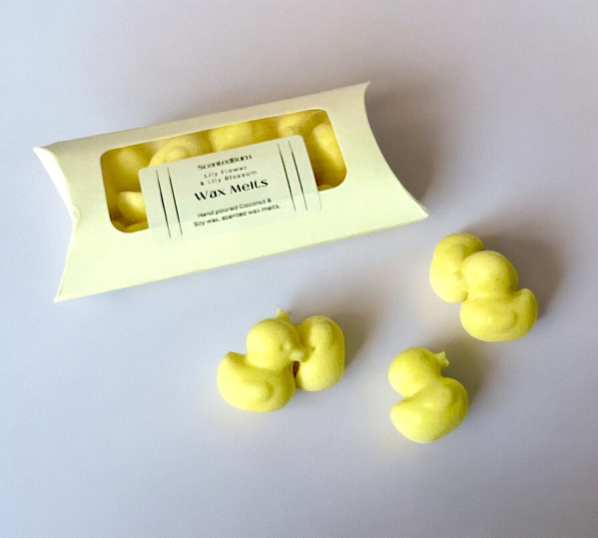 DUCKS Yellow Blue Green Scented Wax Melts | Vegan Mineral Wax Warmers - Scented_Burn Candle Co.