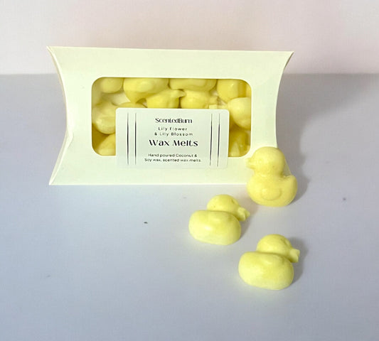 DUCKS Yellow Blue Green Scented Wax Melts | Soy Vegan Wax Warmers - Scented_Burn Candle Co.