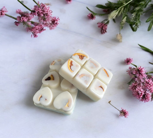 Dried Orange Slice Scented Snap Bar | Soy Botanical Wax Melts - Scented_Burn