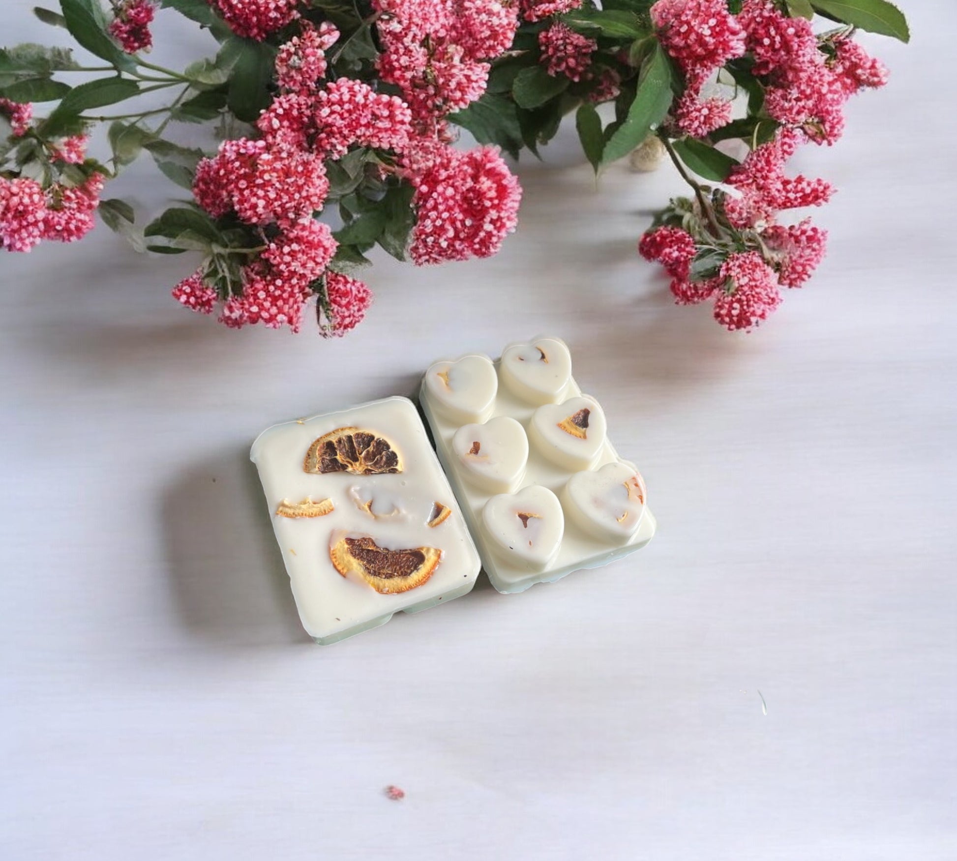 Dried Orange Slice Scented Snap Bar | Soy Botanical Wax Melts - Scented_Burn