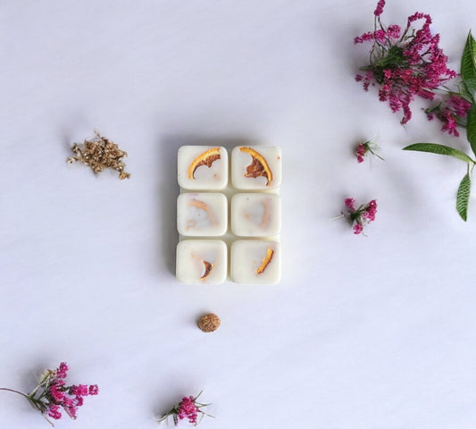 Dried Orange Slice Scented Snap Bar | Soy Botanical Wax Melts - Scented_Burn