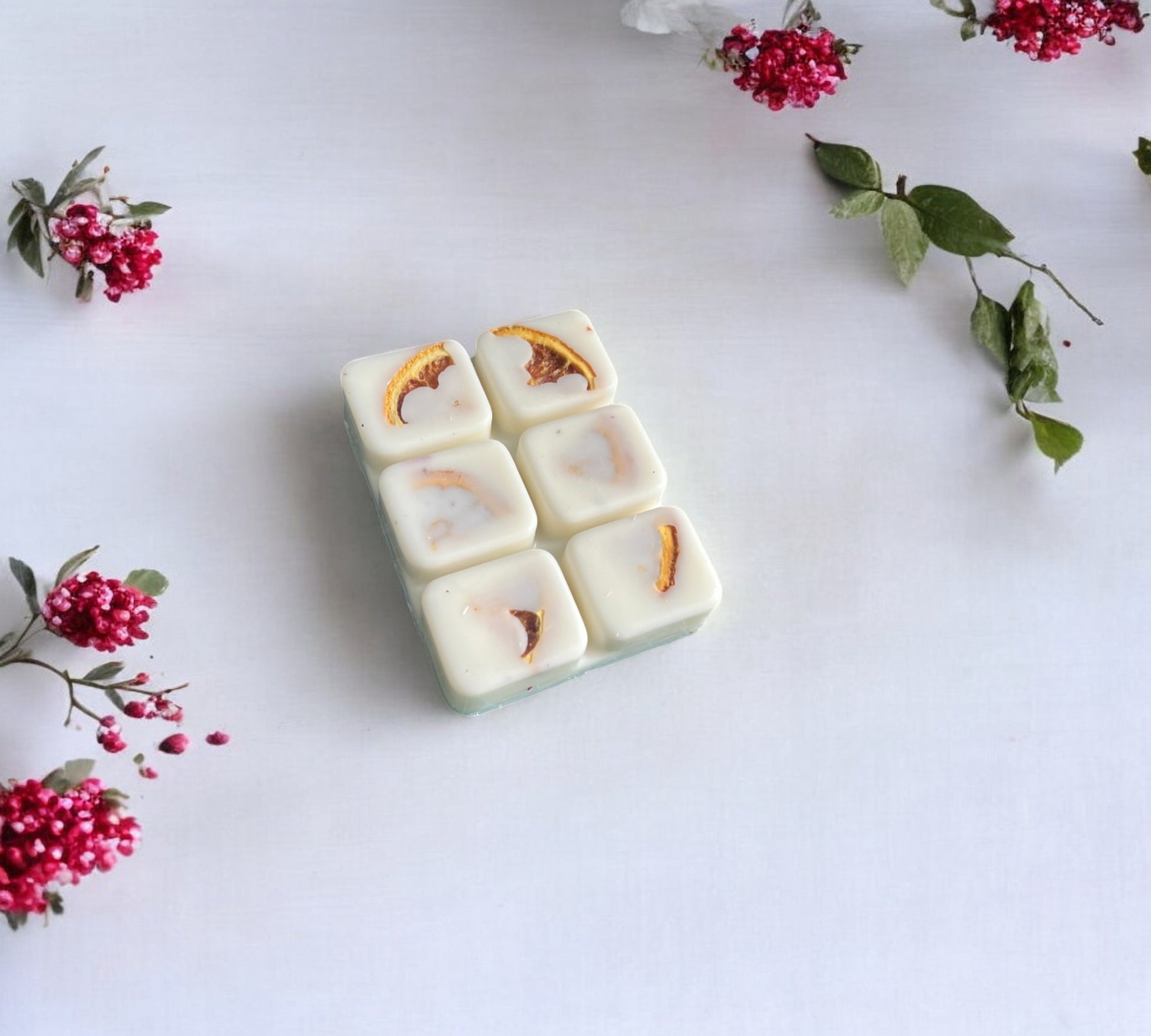 Dried Orange Slice Scented Snap Bar | Soy Botanical Wax Melts - Scented_Burn