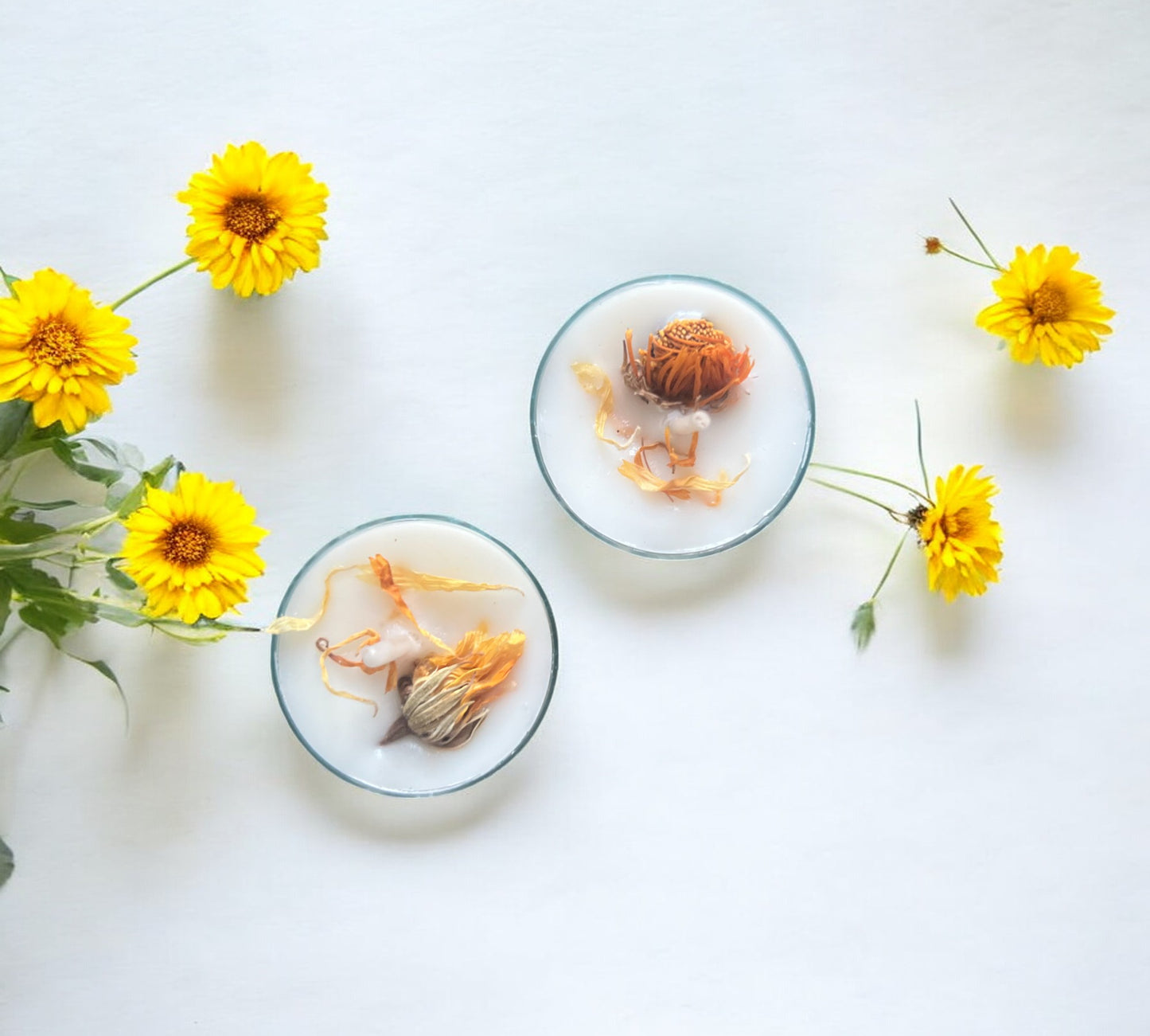 6 Dried Marigold Flowers Aromatherapy Tealights | Mineral Wax Botanical Candles - Scented_Burn
